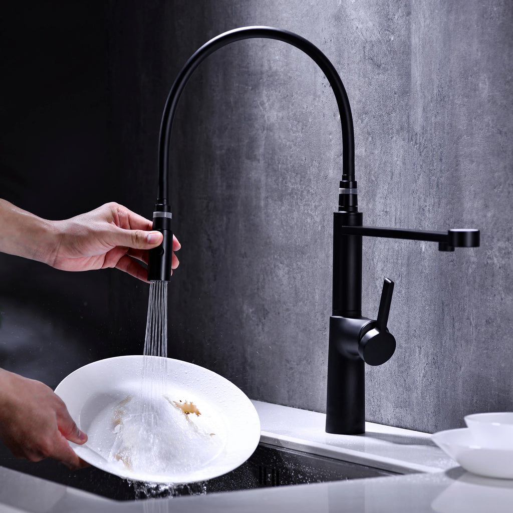 Simple black brass kitchen faucet with pull-out design, dual control of cold and hot, and water purification function sink Tap