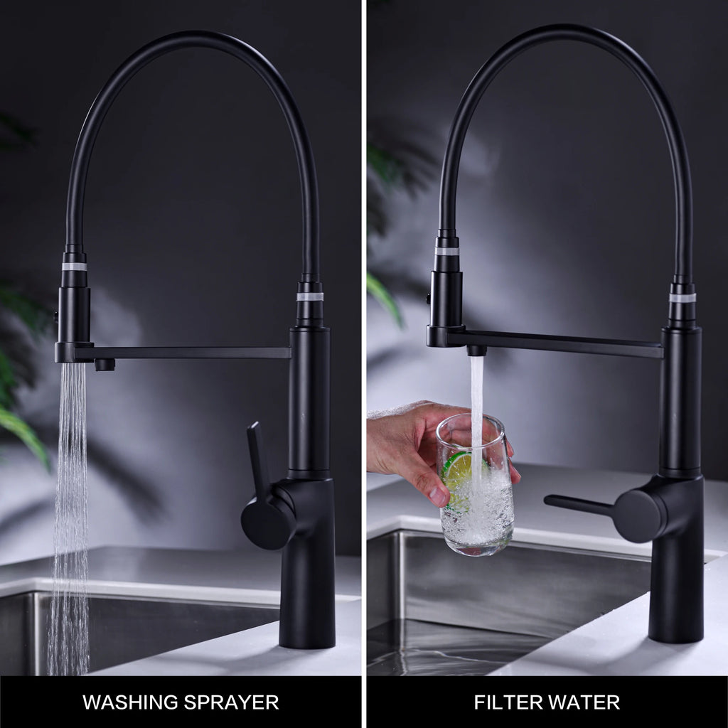Simple black brass kitchen faucet with pull-out design, dual control of cold and hot, and water purification function sink Tap