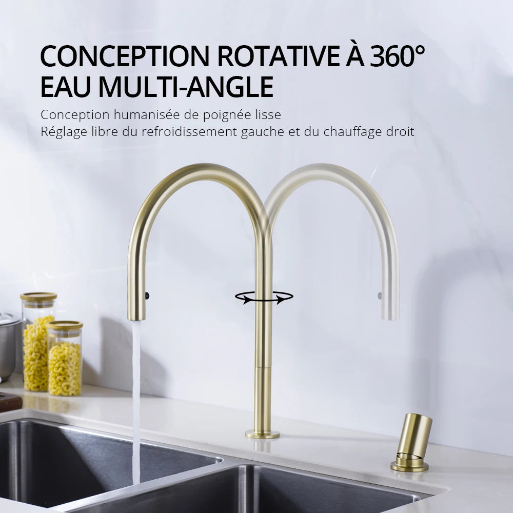 Brushed Gold Kitchen Faucet Invisible Pull Out Spray Mixer Double Hole Single Handle Solid Brass Hot and Cold Separate Sink Tap