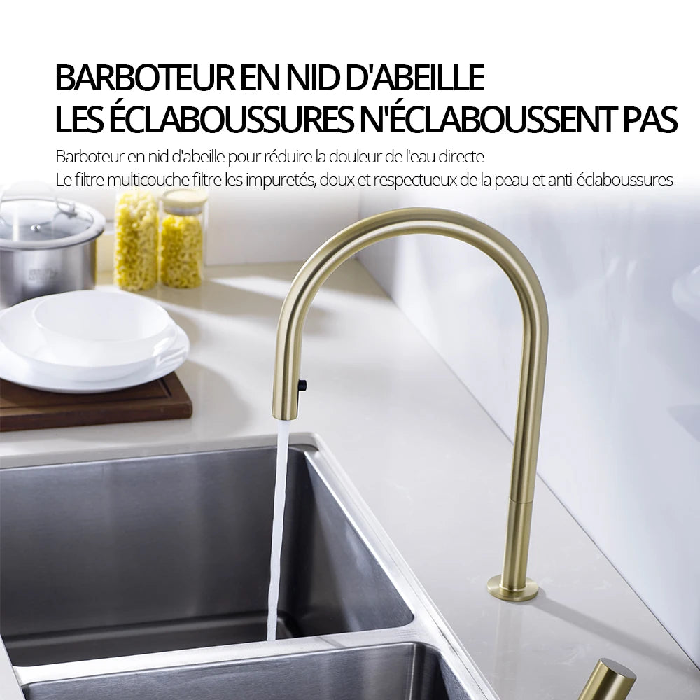 Brushed Gold Kitchen Faucet Invisible Pull Out Spray Mixer Double Hole Single Handle Solid Brass Hot and Cold Separate Sink Tap