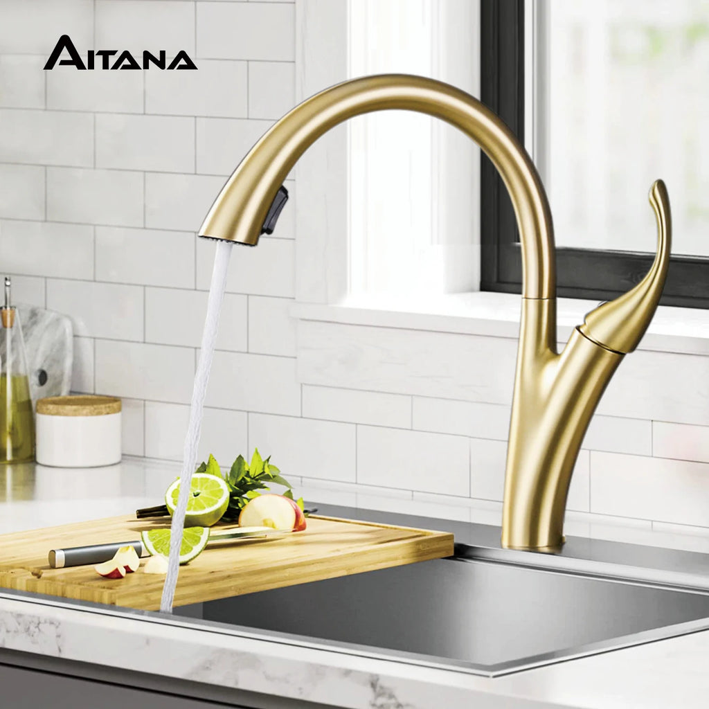 AITANA Simple design brass black kitchen faucet modern single handle pull-out hot and cold water 2 function sink faucet