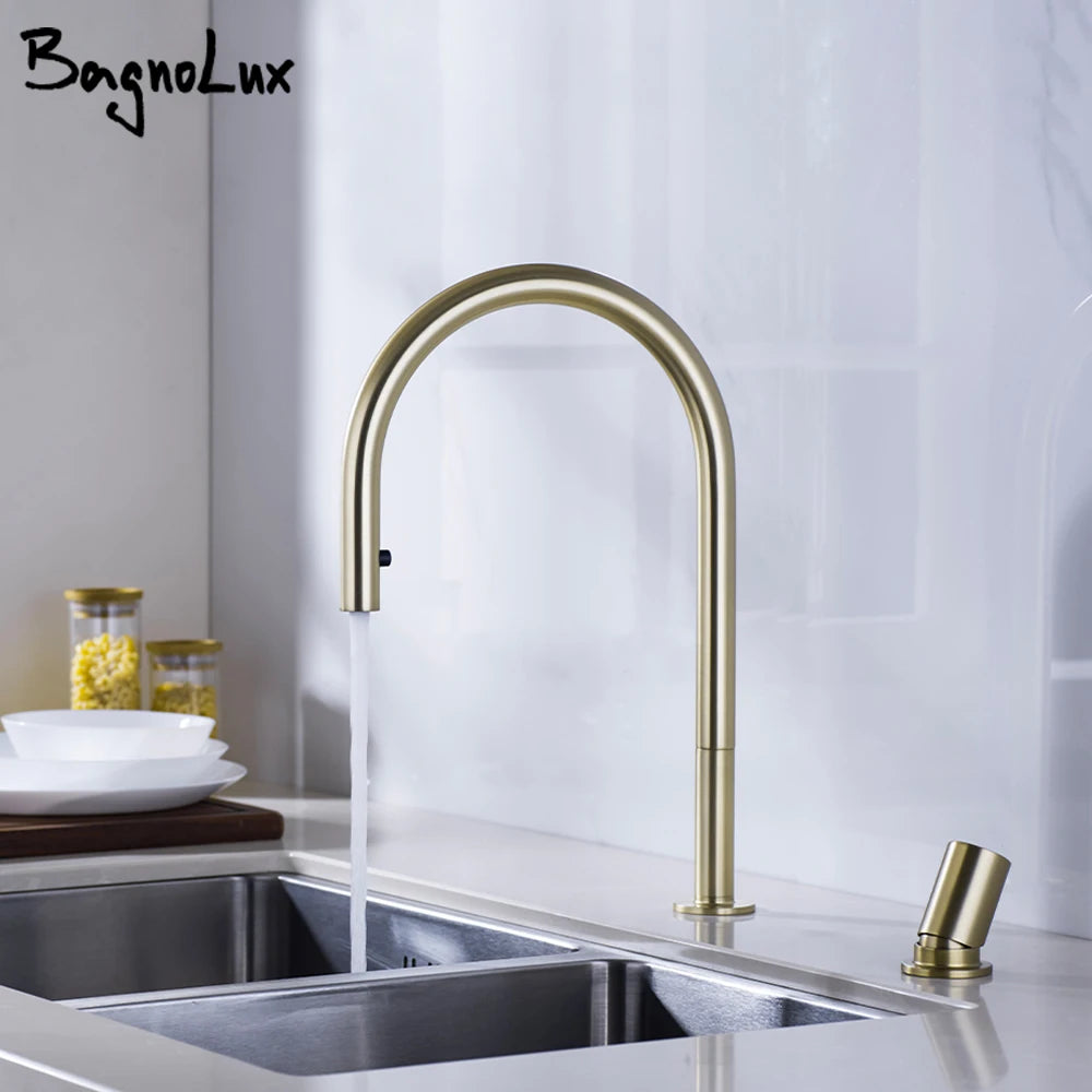 Brushed Gold Kitchen Faucet Invisible Pull Out Spray Mixer Double Hole Single Handle Solid Brass Hot and Cold Separate Sink Tap