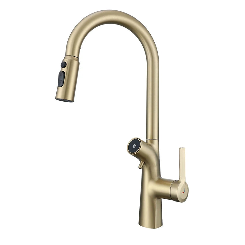VGX Water Filter Kitchen Faucet Dual Spout Pure Drinking Water Tap Pull Out Kitchen Sink Mixer Kitchen Gourmet Faucet Crane Gold