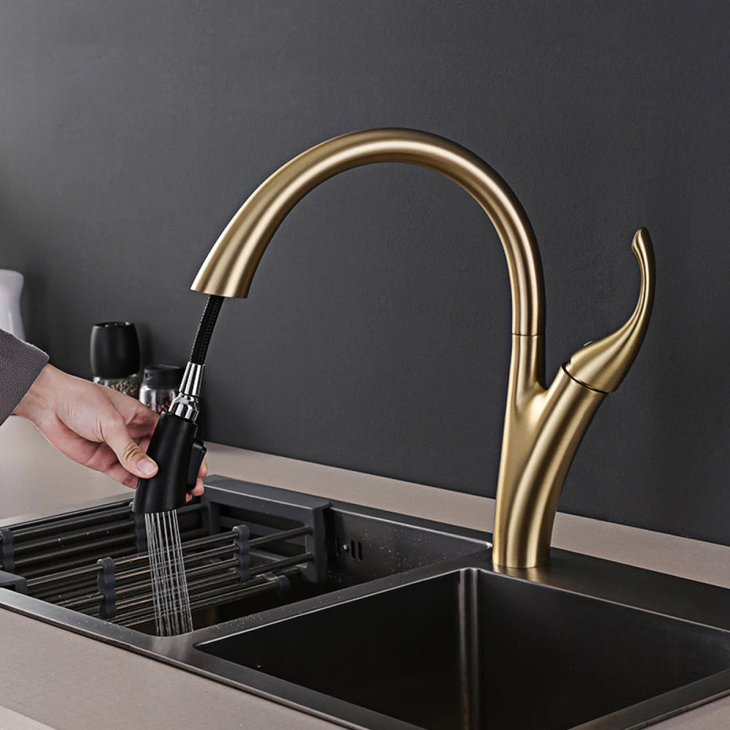AITANA Simple design brass black kitchen faucet modern single handle pull-out hot and cold water 2 function sink faucet