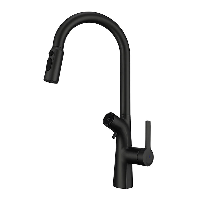 VGX Water Filter Kitchen Faucet Dual Spout Pure Drinking Water Tap Pull Out Kitchen Sink Mixer Kitchen Gourmet Faucet Crane Gold