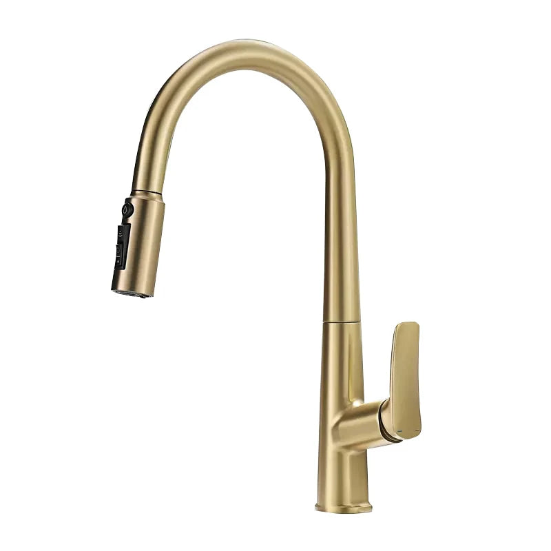 VGX Filter Water Kitchen Faucet Dual Spout Pure Drinking Water Tap Pull Out Kitchen Sink Mixer Faucet Gourmet Brass Crane Gold