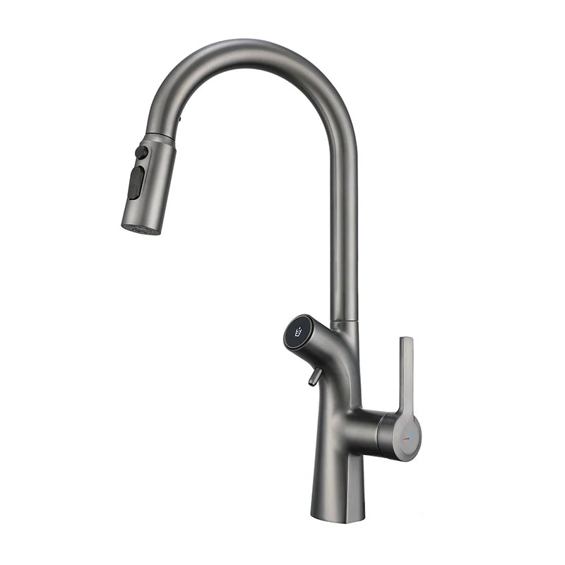 VGX Water Filter Kitchen Faucet Dual Spout Pure Drinking Water Tap Pull Out Kitchen Sink Mixer Kitchen Gourmet Faucet Crane Gold