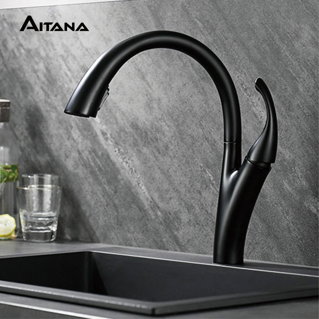 AITANA Simple design brass black kitchen faucet modern single handle pull-out hot and cold water 2 function sink faucet