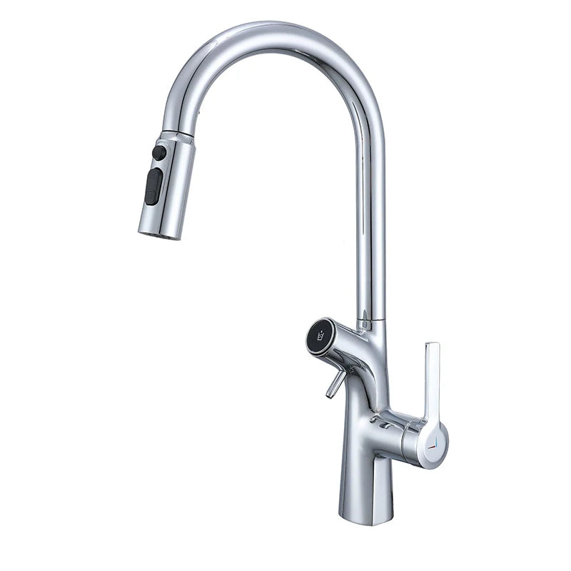 VGX Water Filter Kitchen Faucet Dual Spout Pure Drinking Water Tap Pull Out Kitchen Sink Mixer Kitchen Gourmet Faucet Crane Gold